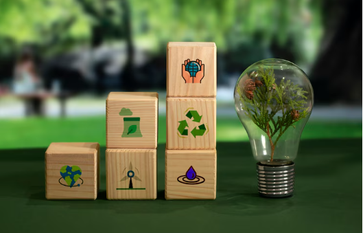 ESG and Sustainability Services